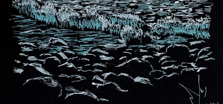 Fondo negro: Puerto de las Nieves 1.