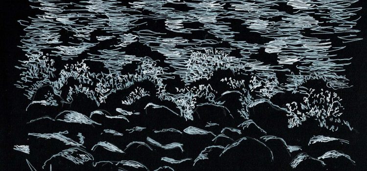 Fondo negro: Puerto de las Nieves 2.