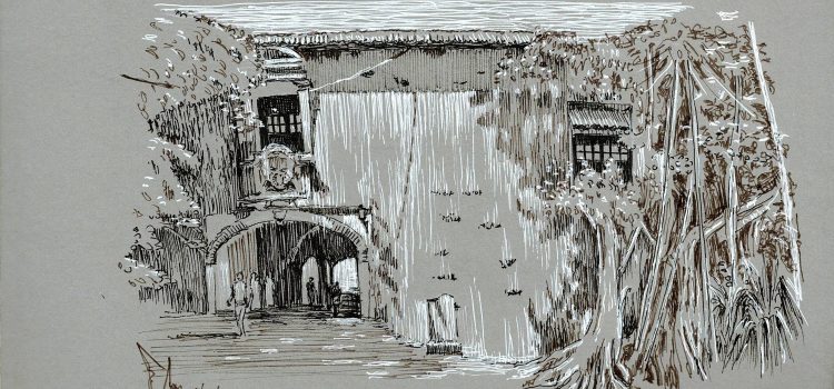 Fondo gris: Galle blanco y negro.