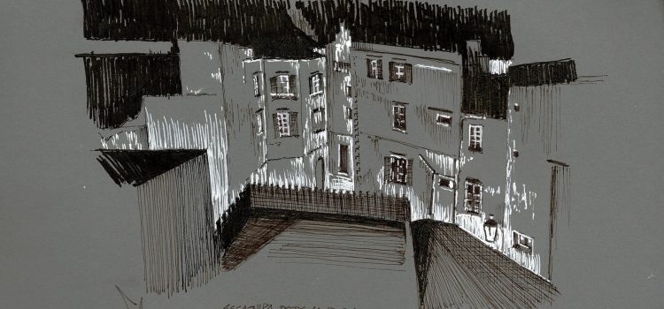 Fondo gris: Medina de Essaouira desde la azotea.