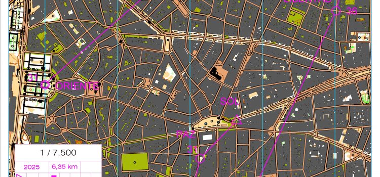 Recorrido navideño 2025